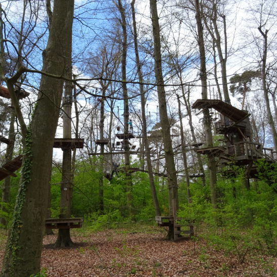Ausflug Kletterwald Viernheim