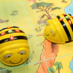 Zwei Bee-bots auf einer Landkarte