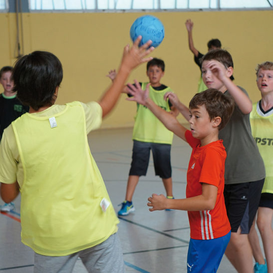 Ballspielsport