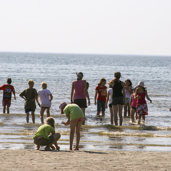 Nordseefreizeit