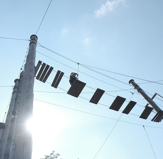 Klettern und mobile Grünholzwerkstatt