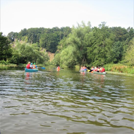 Paddeln auf der Altmühl – Bild 2