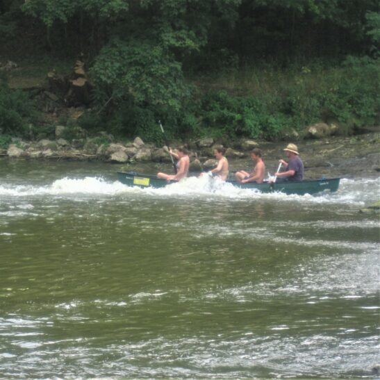 Paddeln auf der Altmühl – Bild 3