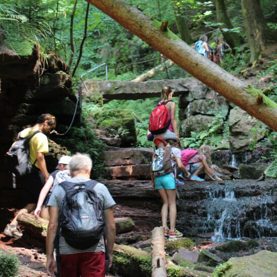 Wander- und Ausflugsprogramm – Bild 3