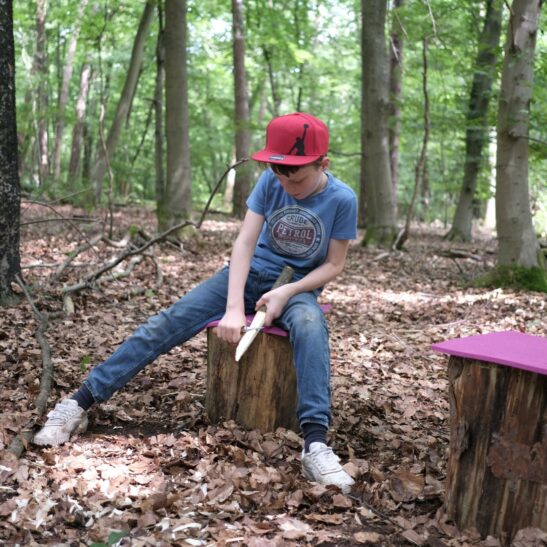 Abenteuer Wald