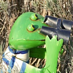Froschfigur mit Fernglas