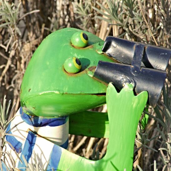 Froschfigur mit Fernglas