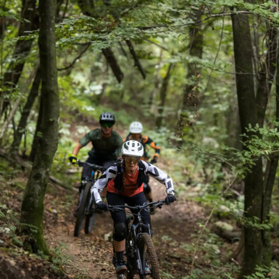 Mountainbike-Camp im Pfälzer Wald