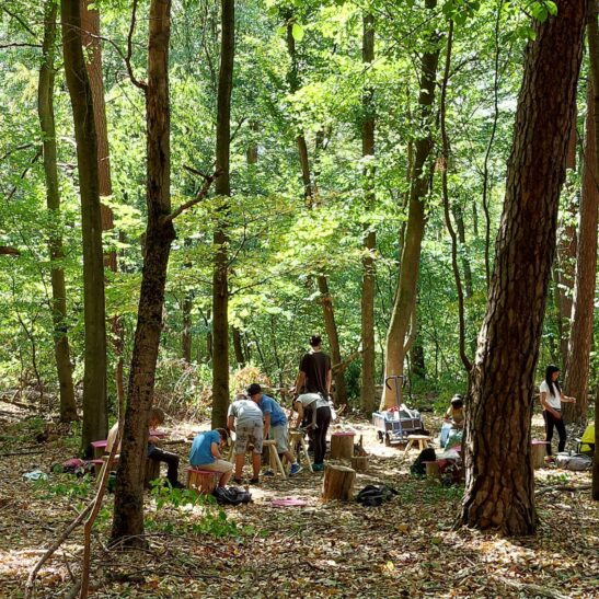 Natur-Erlebnis-Tage - Ein Abenteuer für Kinder von 8-12 Jahren – Bild 10