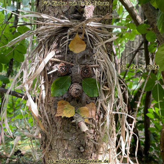Natur-Erlebnis-Tage - Ein Abenteuer für Kinder von 8-12 Jahren – Bild 6