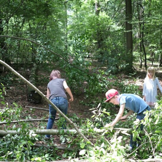 Natur-Erlebnis-Tage - Ein Abenteuer für Kinder von 8-12 Jahren – Bild 9