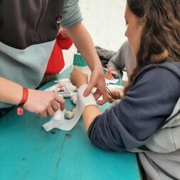 Jugendfreizeit mit Erster Hilfe und mehr