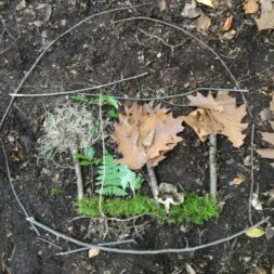 Raus geht´s! - Ein Waldabenteuer