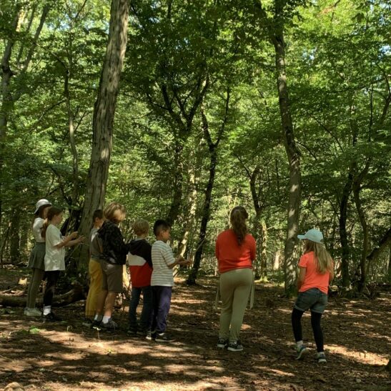 Pfingstfreizeit im Odenwald – Bild 3