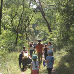 Waldführung im Feriencamp