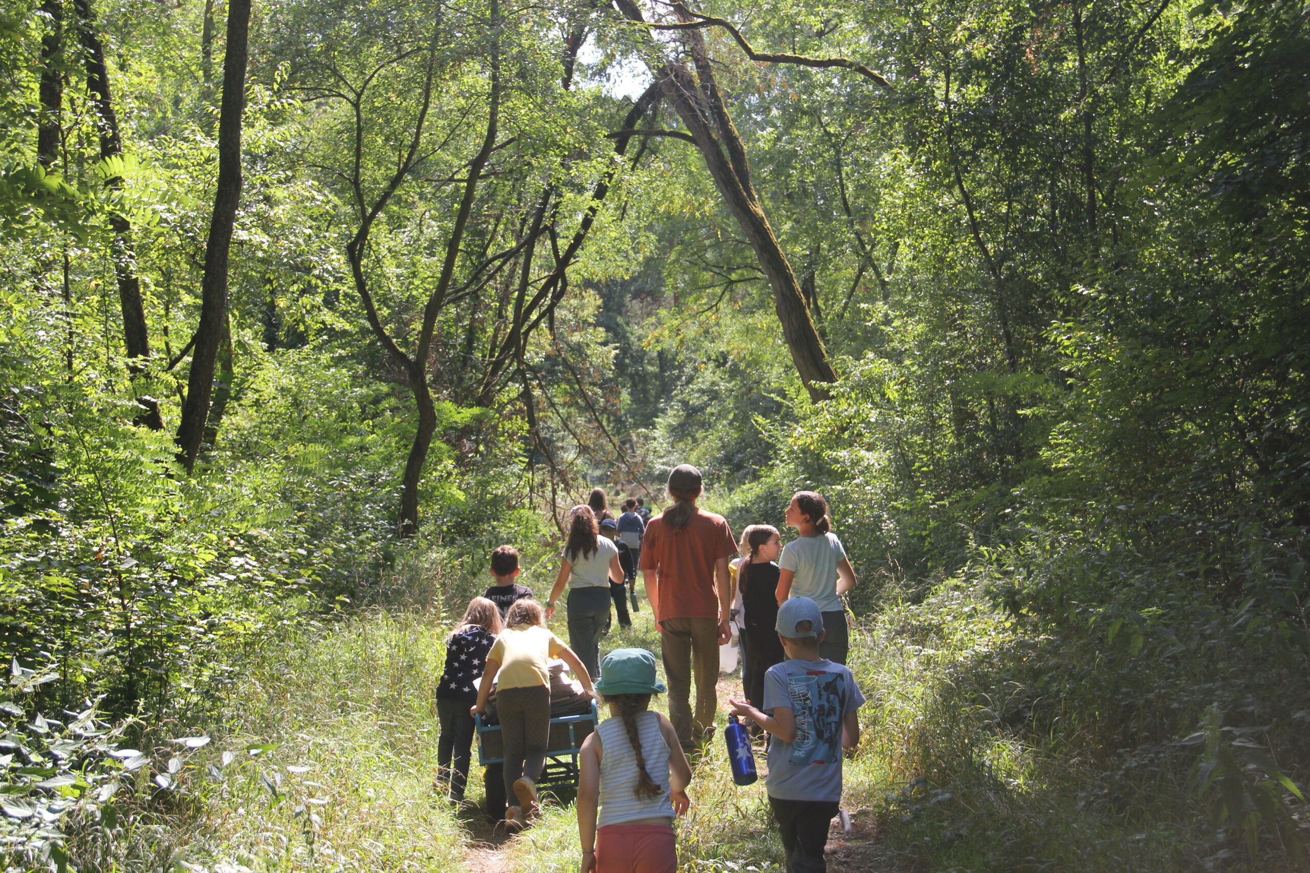 Waldführung im Feriencamp