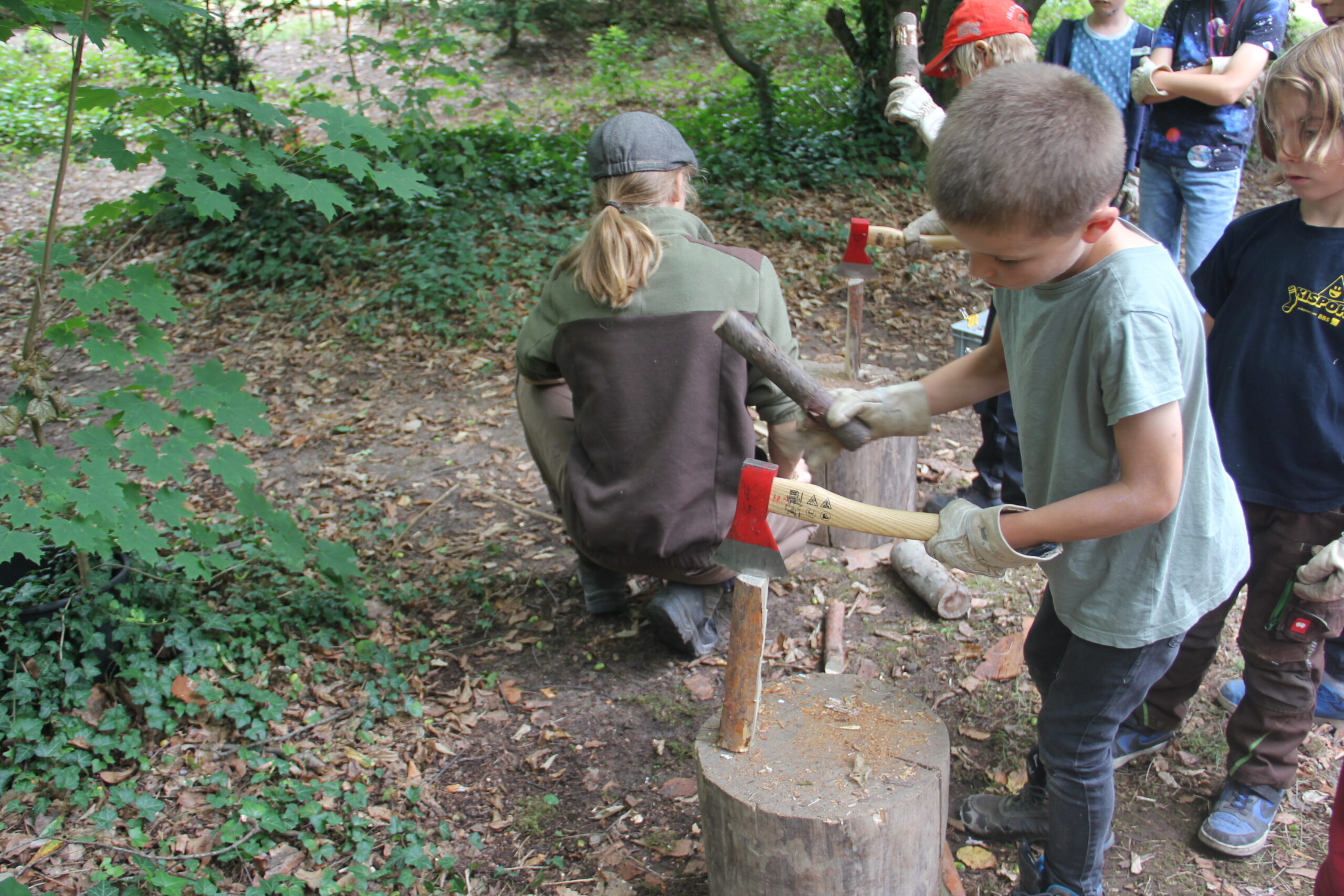 Schätze des Waldes - Feriencamp im Waldhaus Mannheim – Bild 3