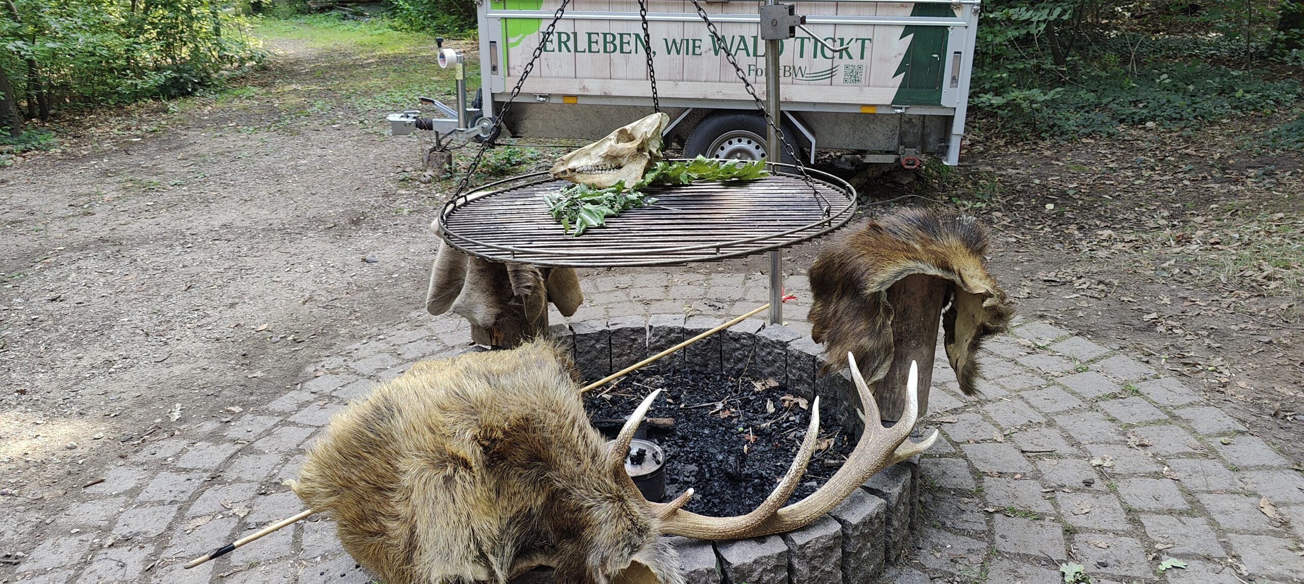 Schätze des Waldes - Feriencamp im Waldhaus Mannheim – Bild 4