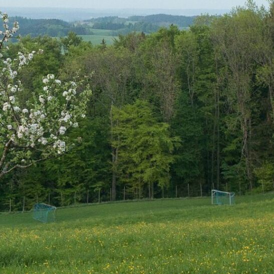 Sommerferienlager 2025 – Bild 2