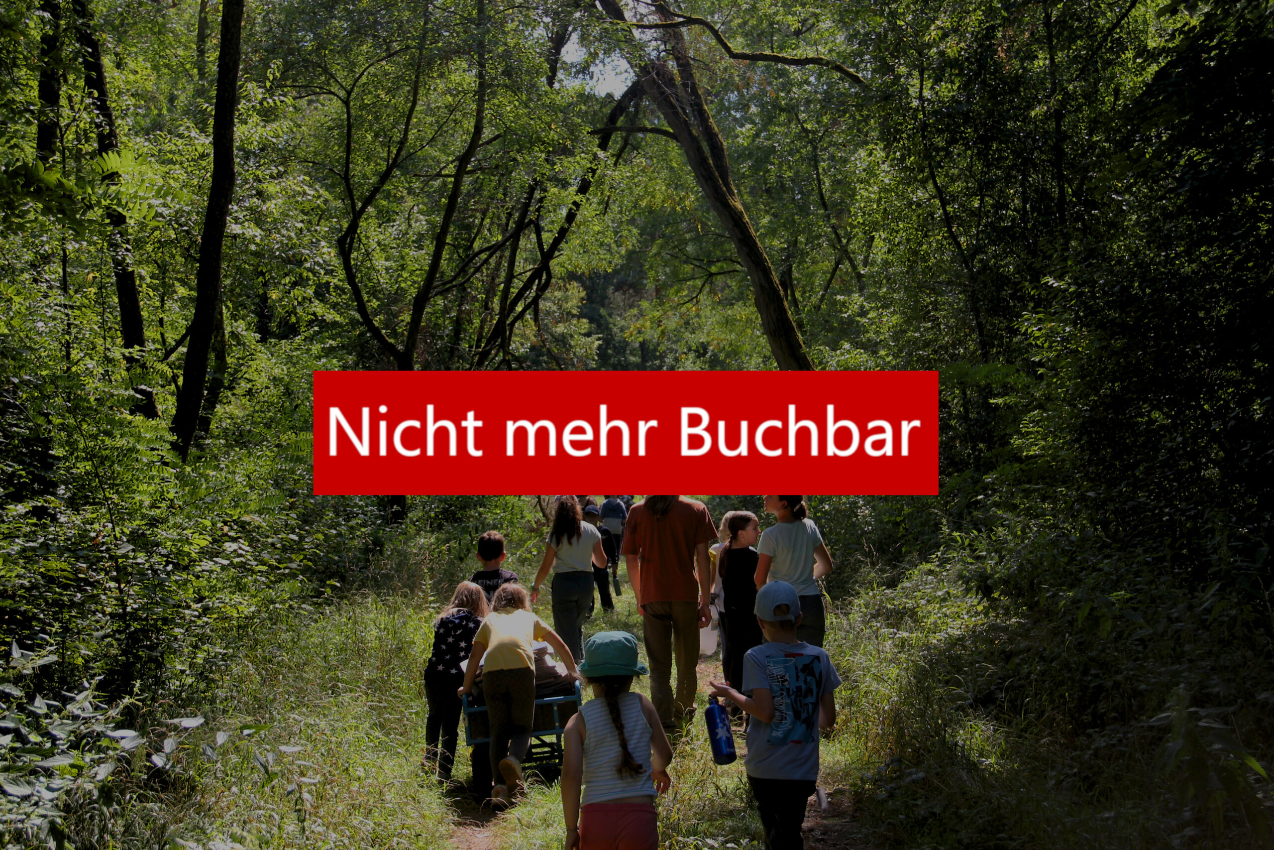 Schätze des Waldes - Feriencamp im Waldhaus Mannheim