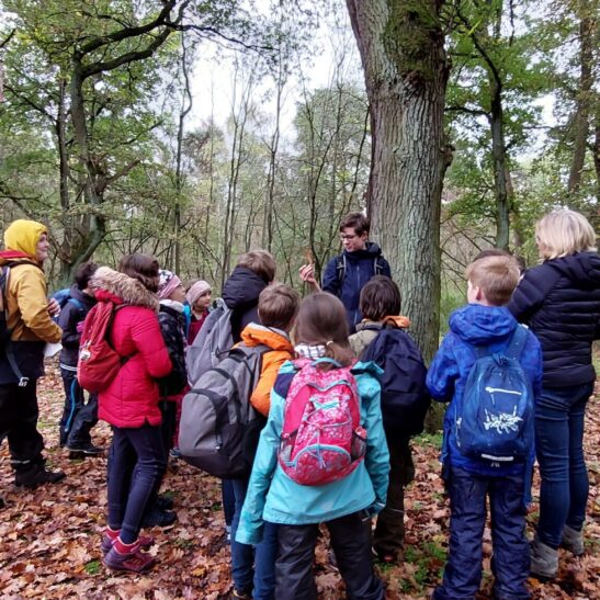 Natur-Erlebnis-Tage - Ein Abenteuer für Kinder von 8-12 Jahren – Bild 2