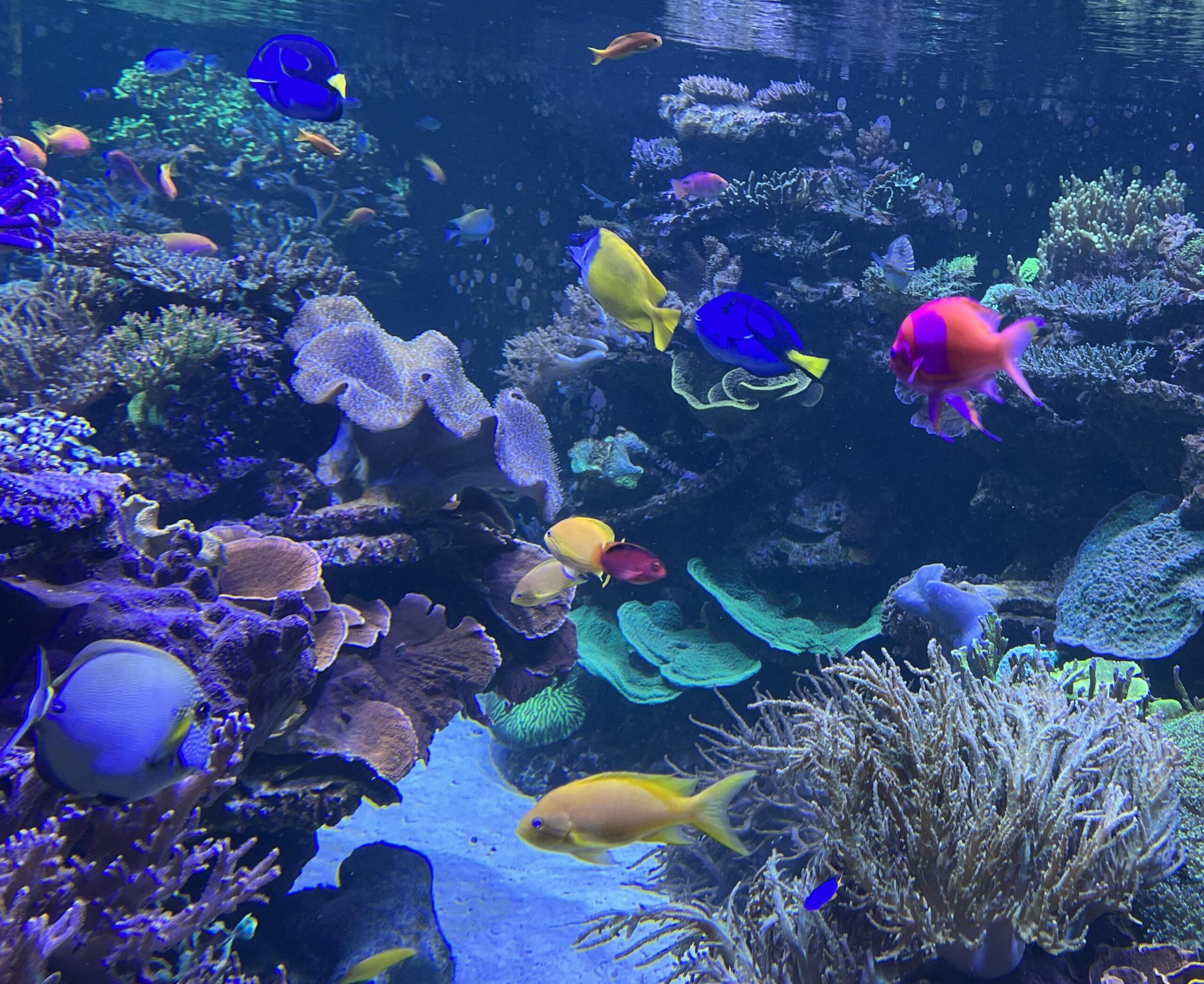 WUNDER-WASSERWELTEN - LUKEN DICHT UND ABGETAUCHT!