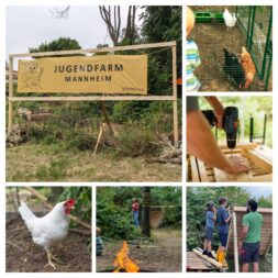 Farmlife - Tiere versorgen, Gärtnern, Bauen und Basteln